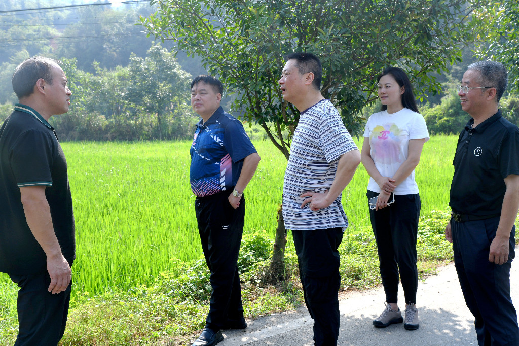 株洲交通事务中心调研醴陵市沩山镇泉水村乡村振兴工作