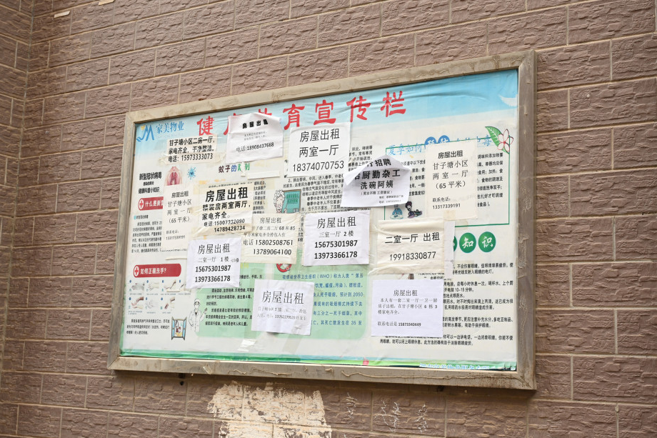 石慧彬暗访督查国家卫生城市复审工作