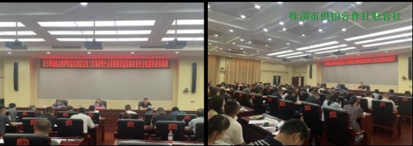 攸县组织召开供销组织建设暨农业社会化 服务业务培训会议