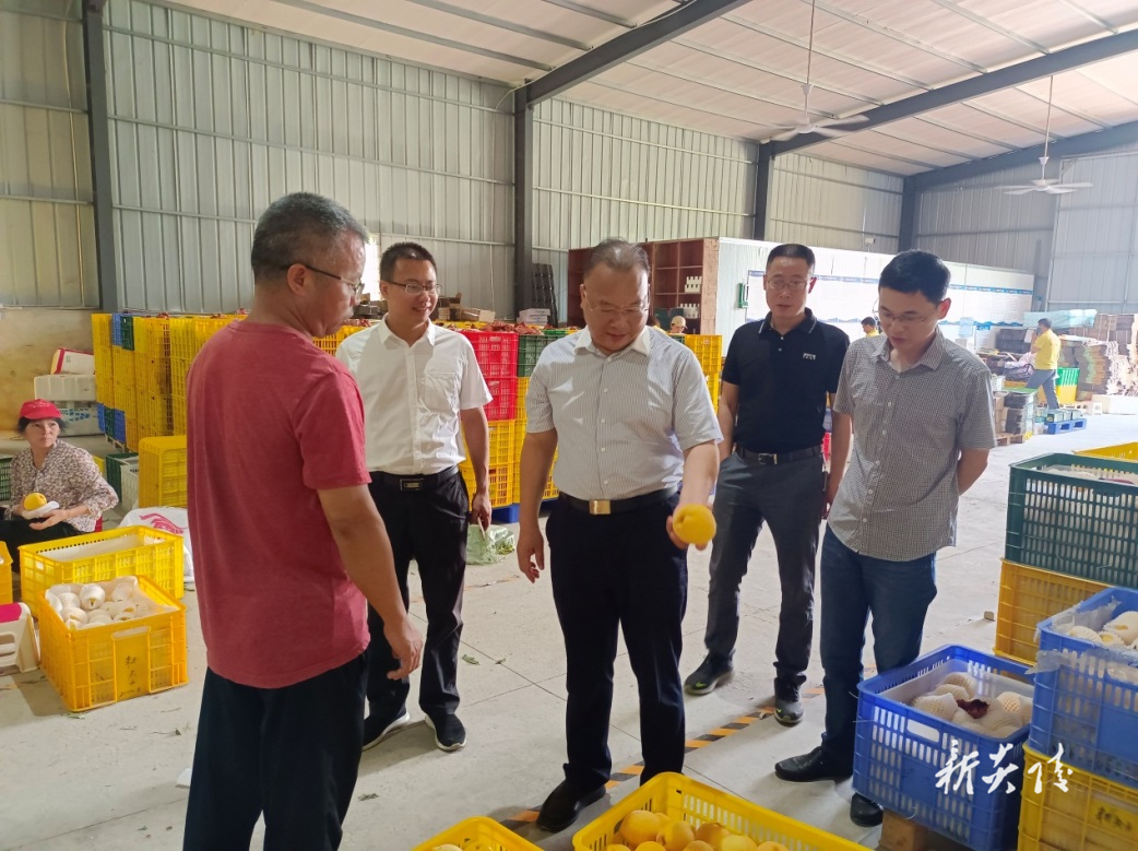 省农机事务中心来炎调研指导农业机械化生产推广应用情况