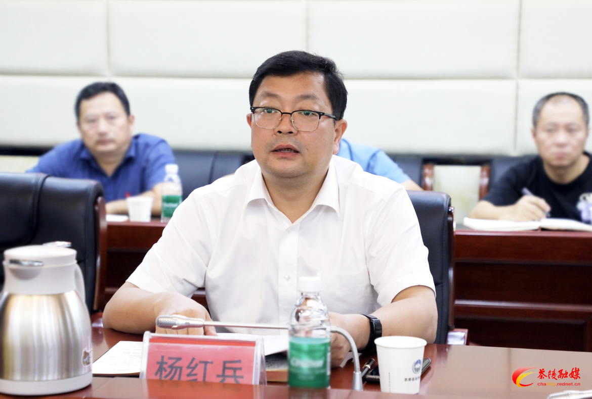 杨红兵主持召开违法用地整改工作推进会