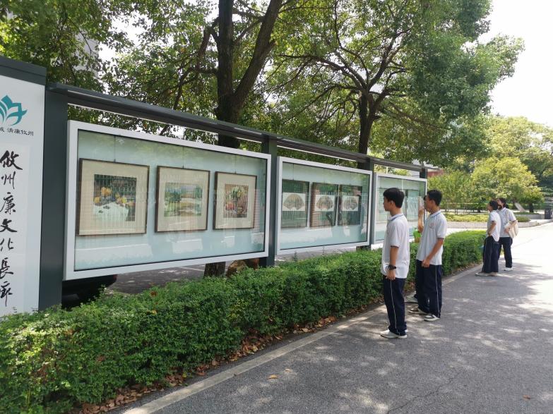 看这边！清廉建设，全市中小学校在行动！（三）