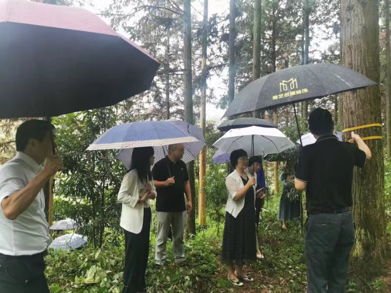 人民银行湖南省分行副行长楼航一行来攸调研金融支持林业资源开发工作