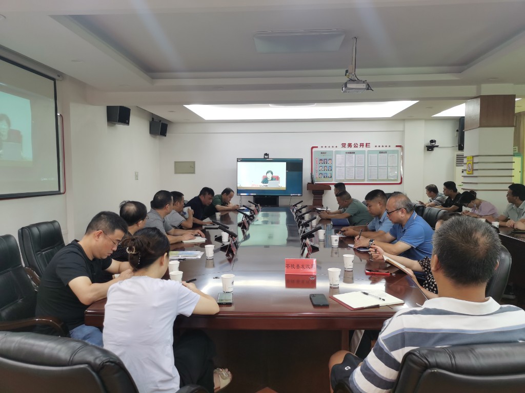 市发改委组织参加案件查办经验交流视频培训