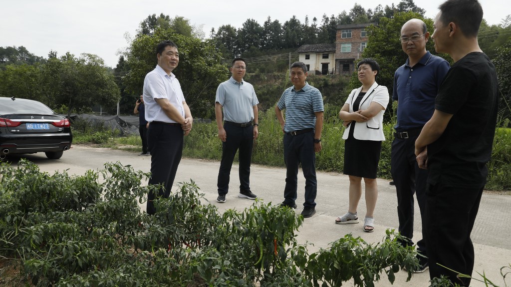 李鹏程督导耕地保护和粮食安全工作 强调：坚决守住耕地保护红线和粮食安全底线