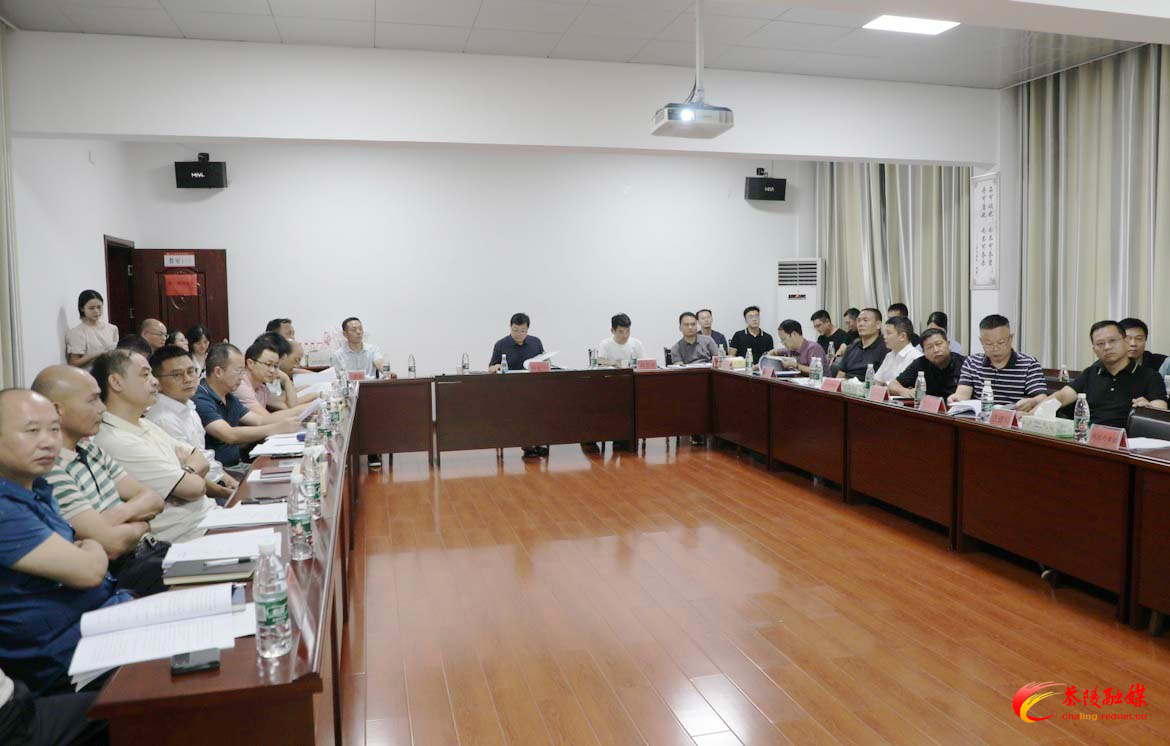 杨红兵主持召开茶陵县国土空间规划委员会2023年第五次专题会议