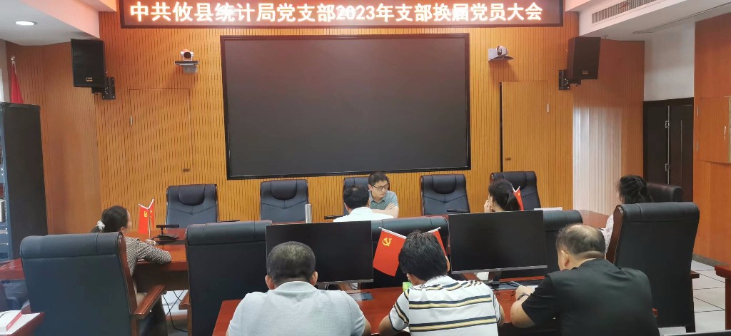 攸县统计局党支部召开换届选举大会