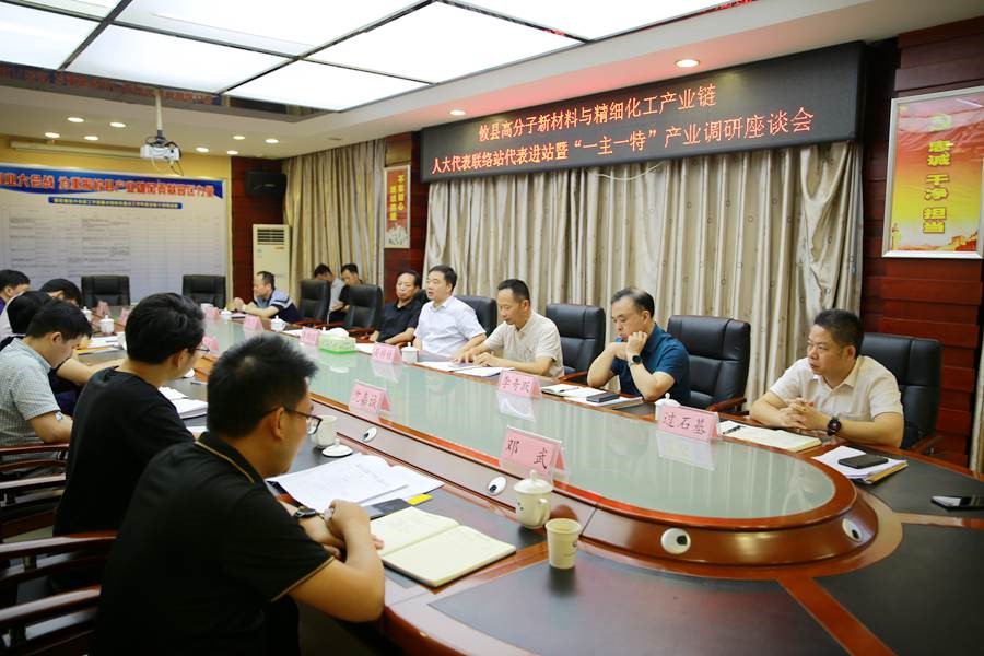 市、县人大代表赴县高新区人大代表联络站开展代表进站暨“一主一特”产业调研活动