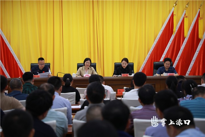 渌口区召开国卫复审工作推进会议