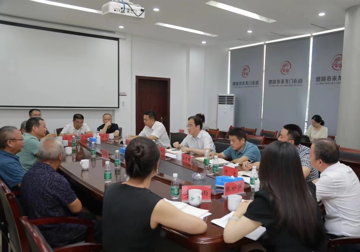 醴陵市委书记王利波到来龙门街道下沉接访