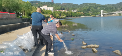 醴陵：开展水生生物增殖放流，共建共护生态文明渌江