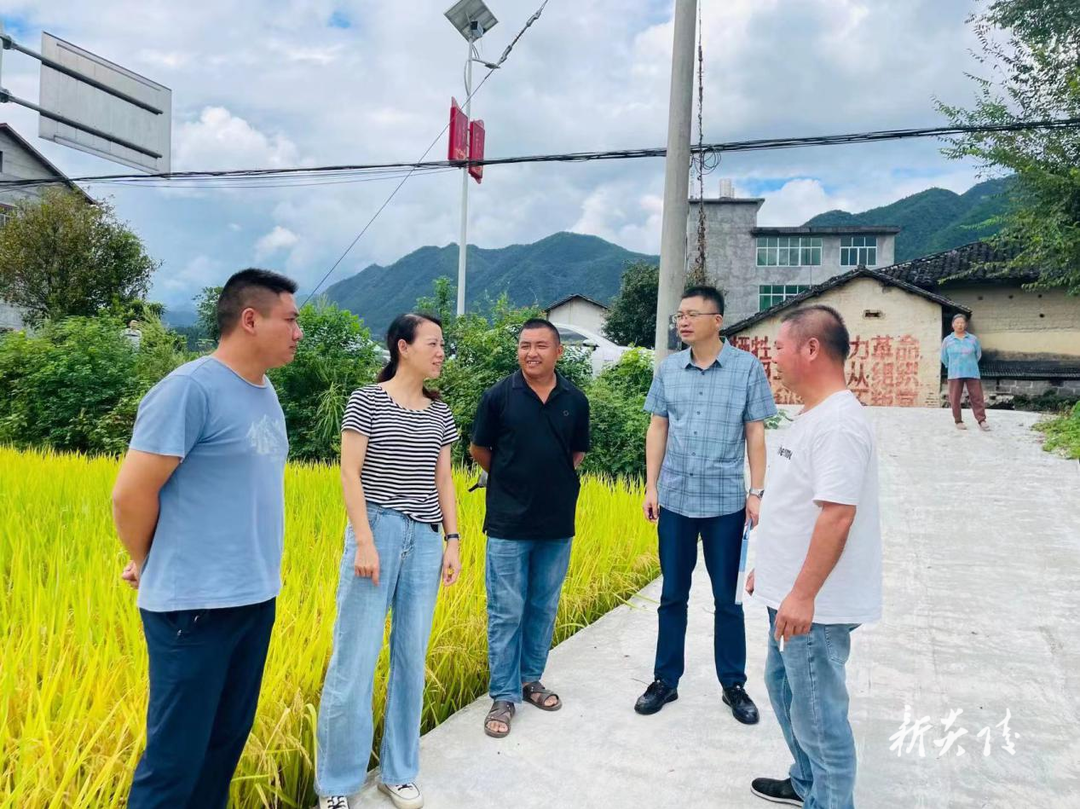 县供销联社：持续开展生产服务 促进农民增产增收