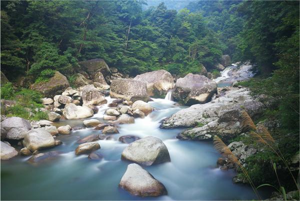 安澜碧波绣彩练，点绿成金有"钱"景