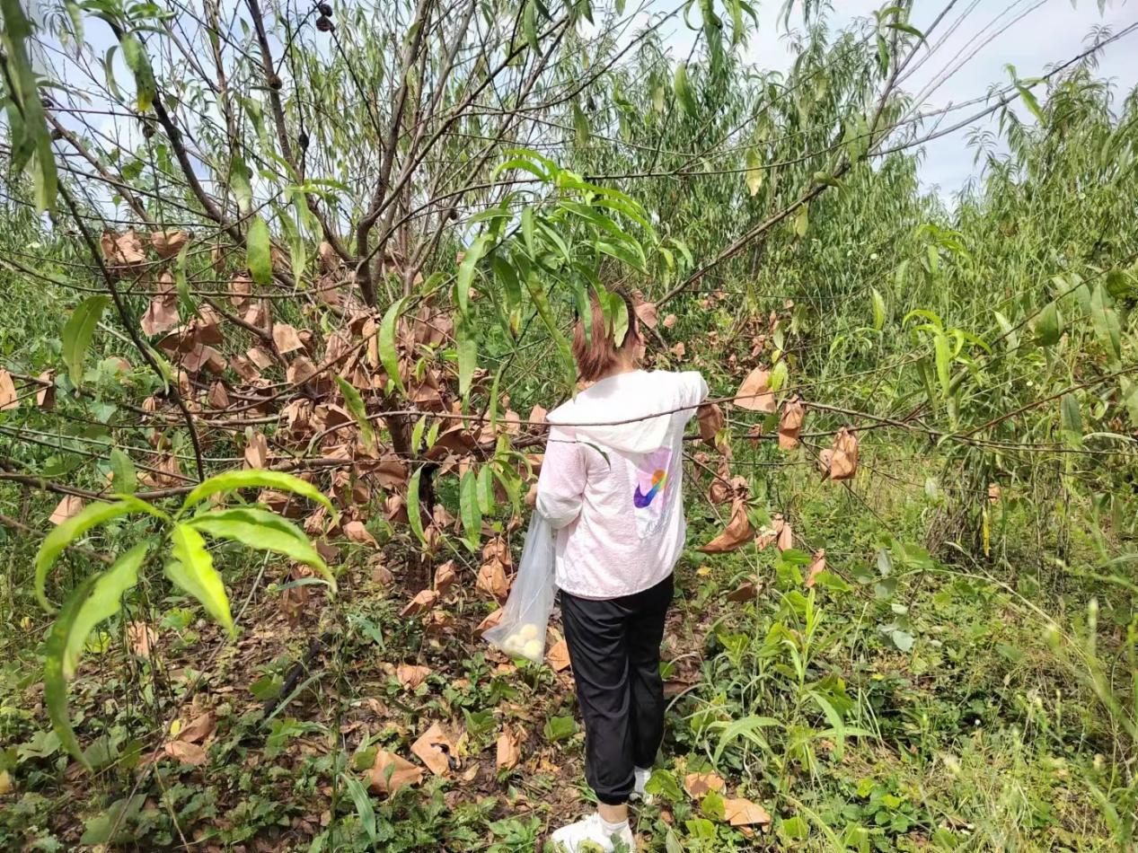 攸县农业农村局 强化农产品安全质量监督 护航中秋国庆“舌尖”安全