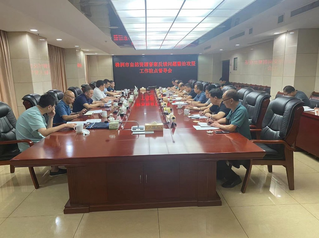 株洲市自然资源和规划局驻点督导攸县自然资源督察反馈问题整治攻坚工作