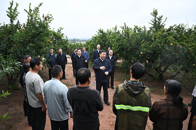 习近平在浙江考察时强调 始终干在实处走在前列勇立潮头 奋力谱写中国式现代化浙江新篇章 返京途中在山东枣庄考察