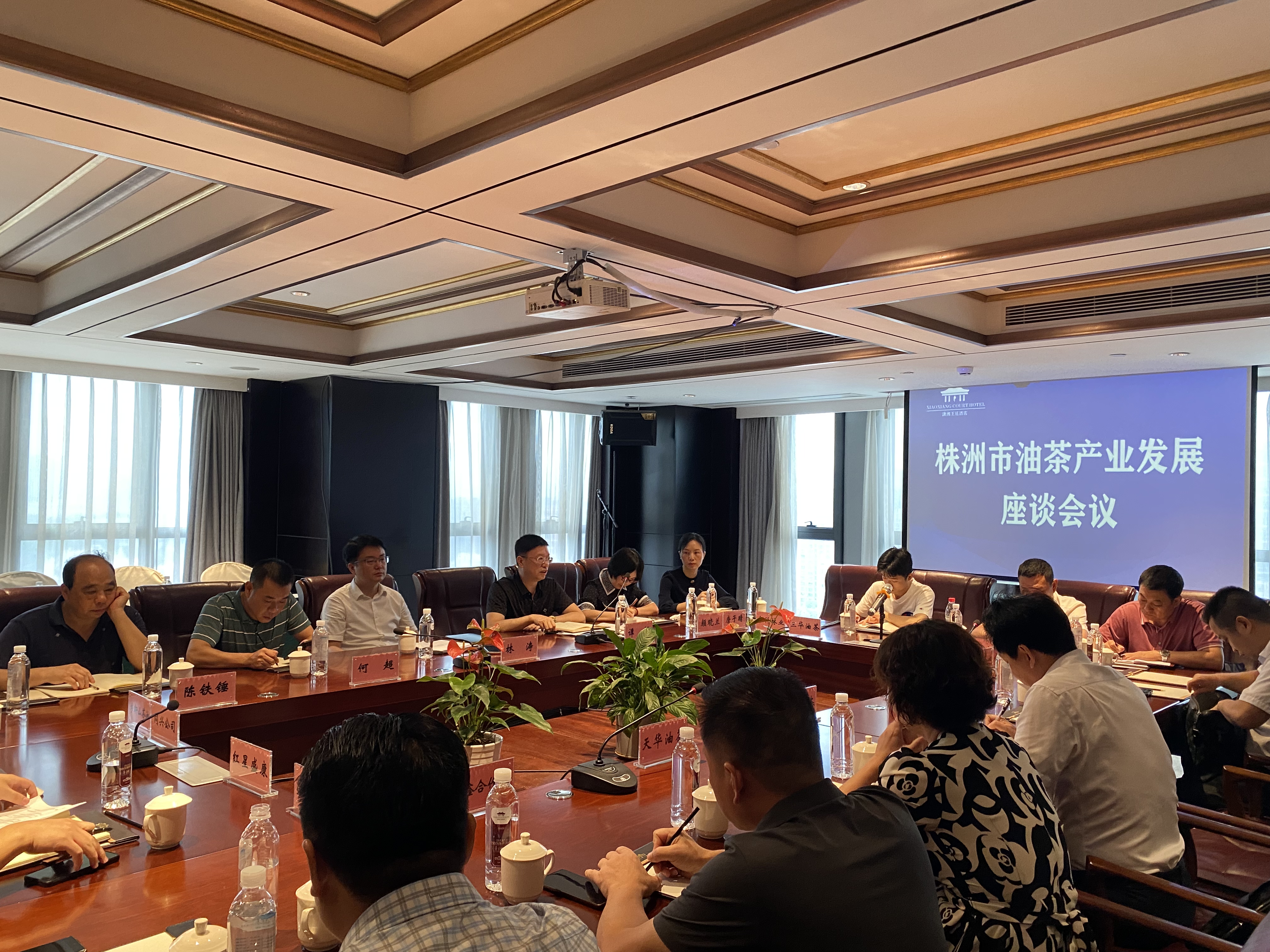 株洲市召开油茶产业发展座谈会
