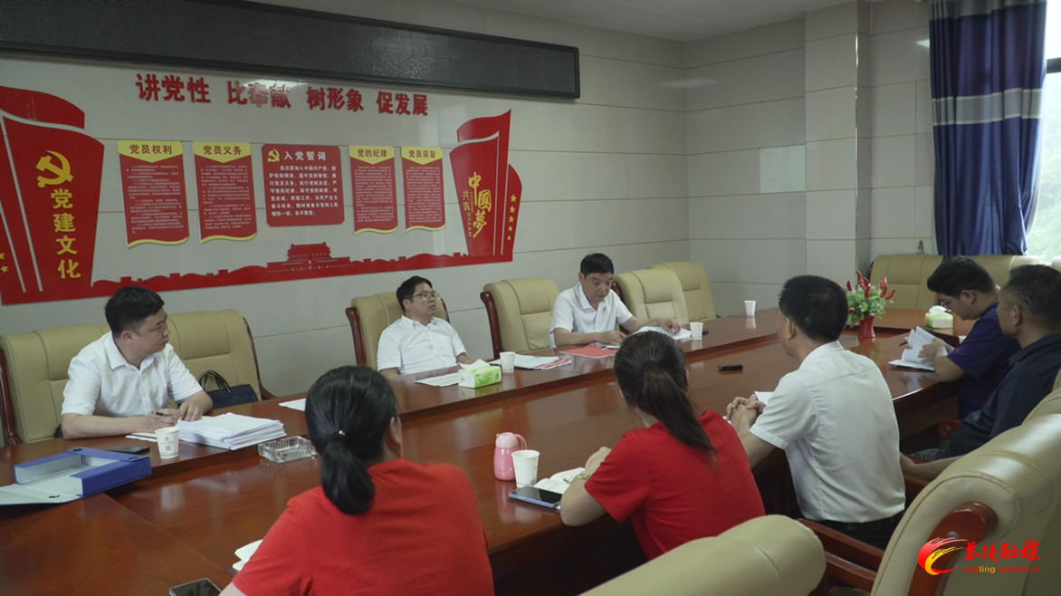 邓元连深入严塘镇督导调研巩固拓展脱贫攻坚成果同乡村振兴有效衔接工作