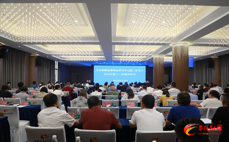 茶陵县委理论学习中心组（扩大）开展2023年第十一次集中学习