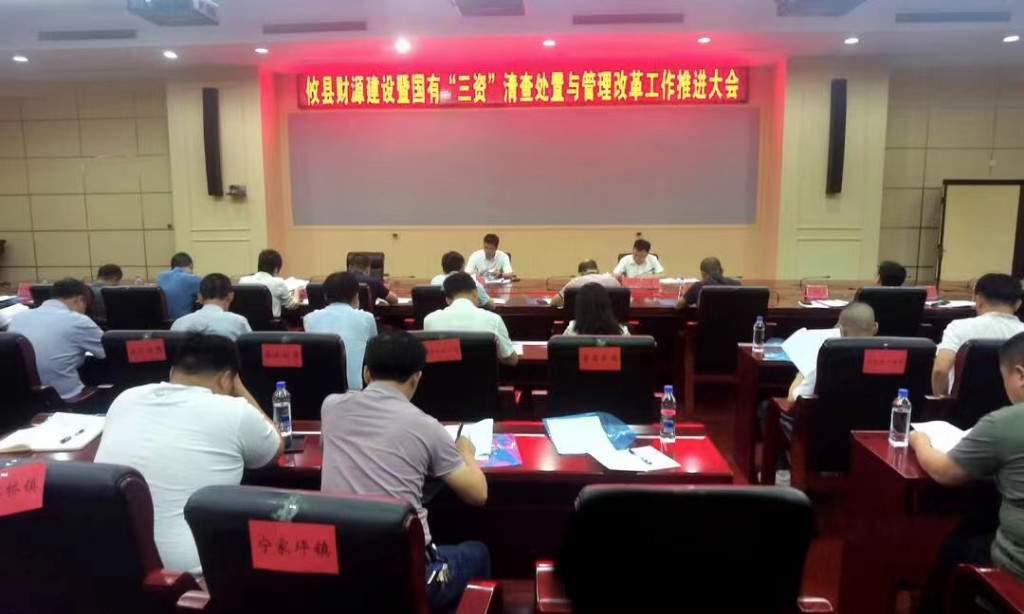 攸县召开财源建设暨国有“三资”清查处置与管理改革工作推进会