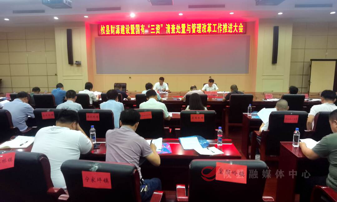 攸县召开财源建设暨国有“三资”清查处置与管理改革工作推进会