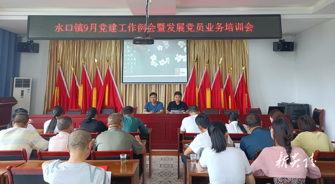 水口镇召开党建工作例会暨发展党员业务培训会