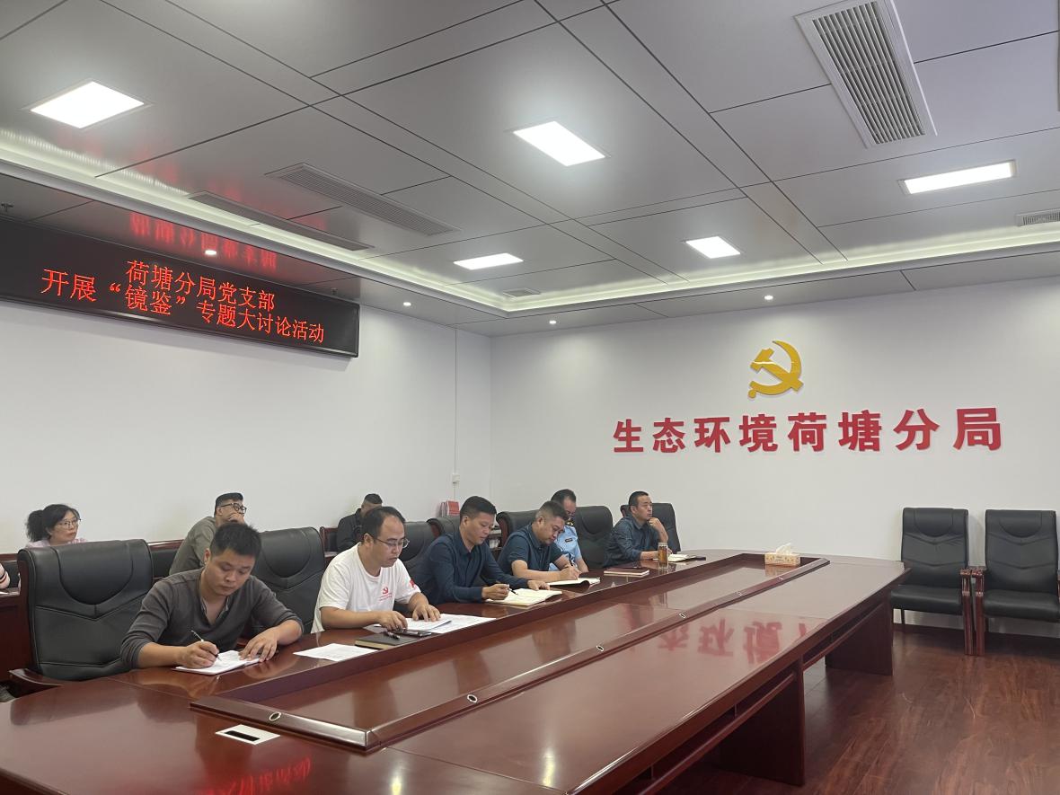 株洲市生态环境局荷塘分局党支部开展"镜鉴"专题大讨论活动
