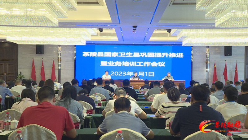 茶陵县部署推进国家卫生县巩固提质工作