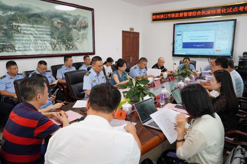 株洲市一国家级标准化试点项目顺利通过验收