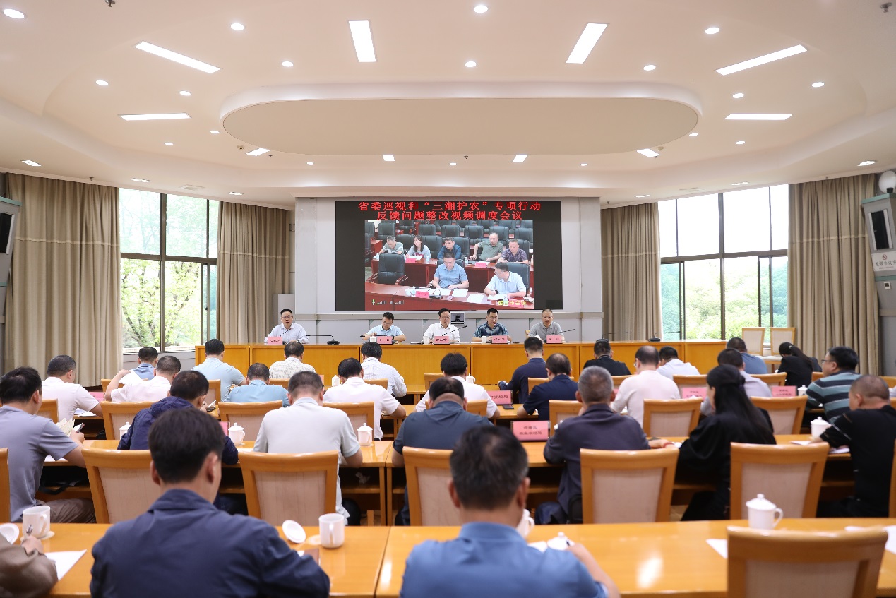 我市召开省委巡视和"三湘护农"专项行动反馈问题整改视频调度会议