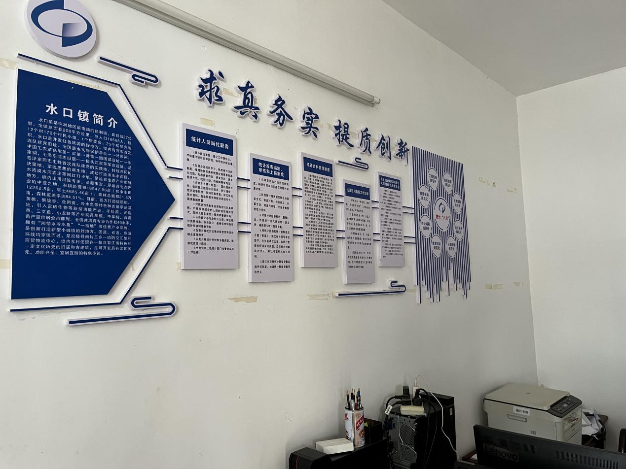 炎陵县统计局调研部分乡镇（街道）统计规范化建设