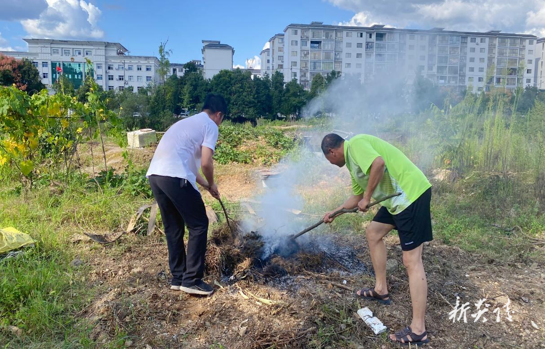 霞阳镇:秸秆禁烧不放松