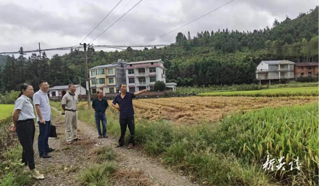 县供销合作社：聚焦“重点民生保障仗” 推进农化服务标准化