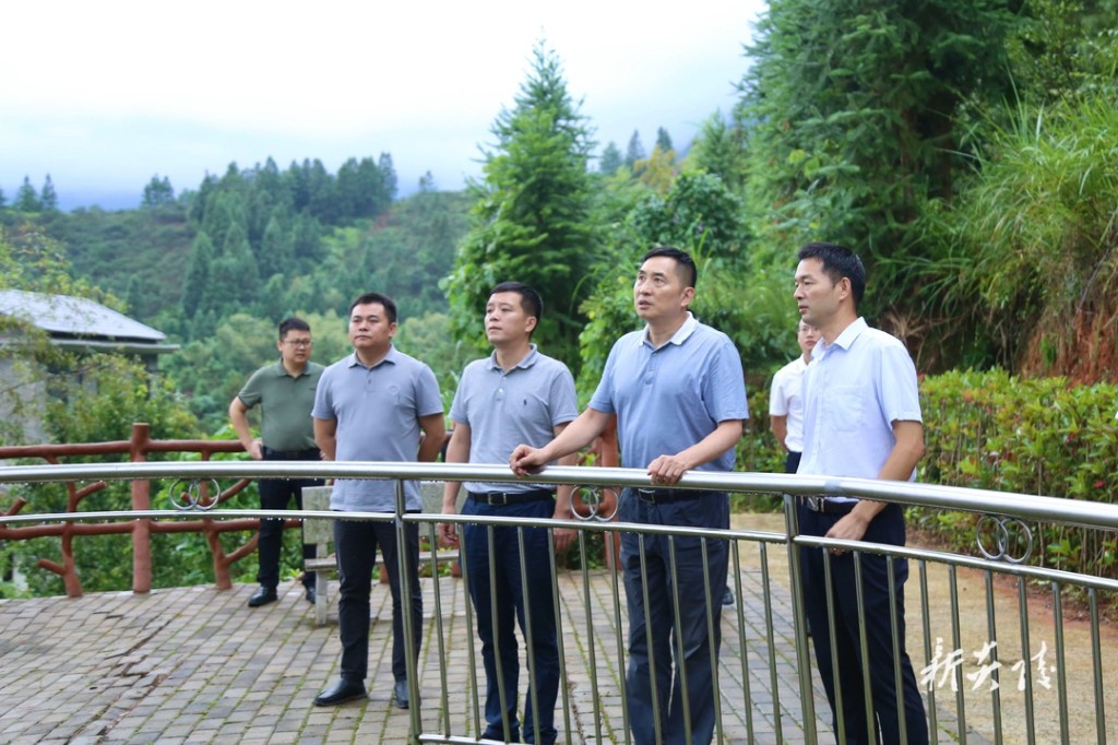 尹朝晖在乡镇调研时强调：探索建立田长、河湖长、林长等“多长合一”和协同共治的工作机制 提升乡村治理效能