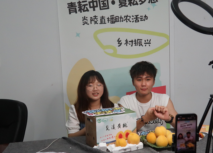 水口镇：校地联动为农村基层注入青春活力