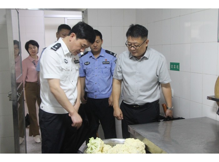 罗有略同志到芦淞区高家坳小学开展校园安全督导检查