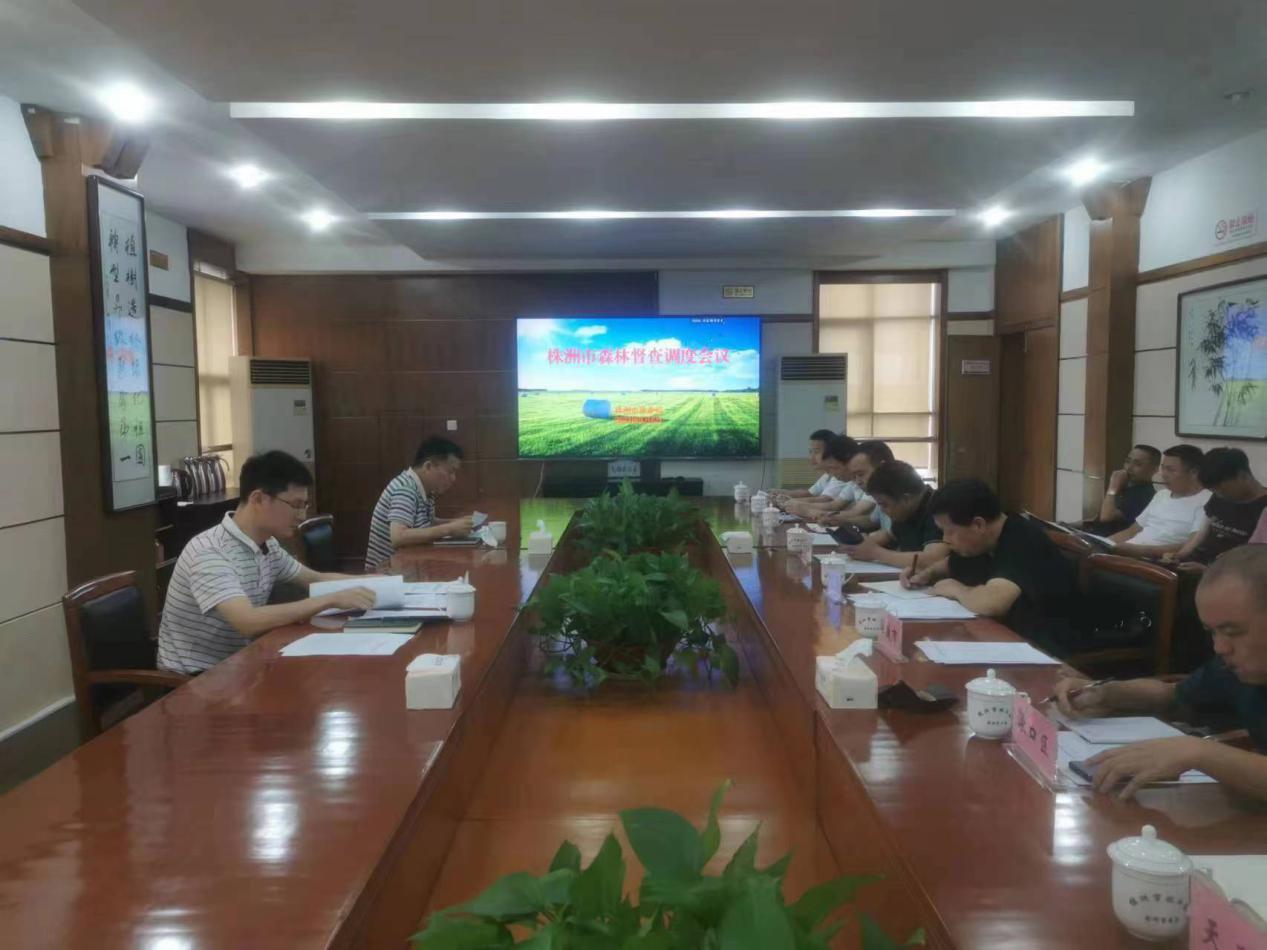 市林业局召开全市森林督查工作调度会议