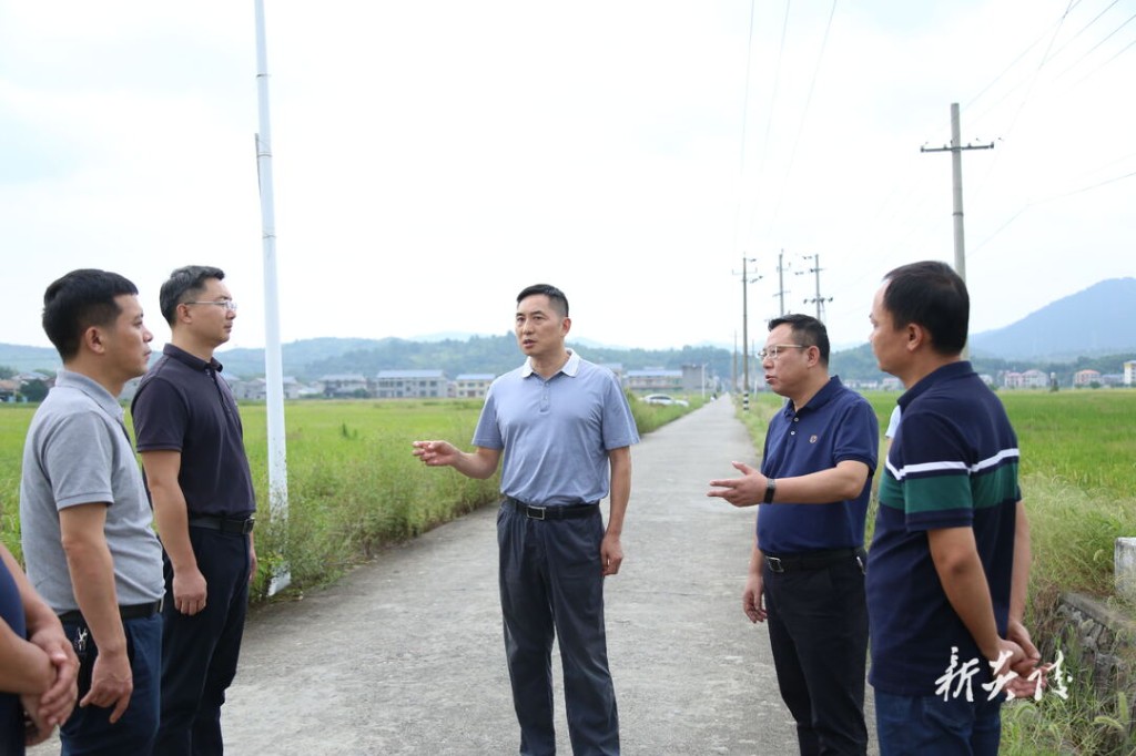 尹朝晖在乡镇调研时强调：探索建立田长、河湖长、林长等“多长合一”和协同共治的工作机制 提升乡村治理效能