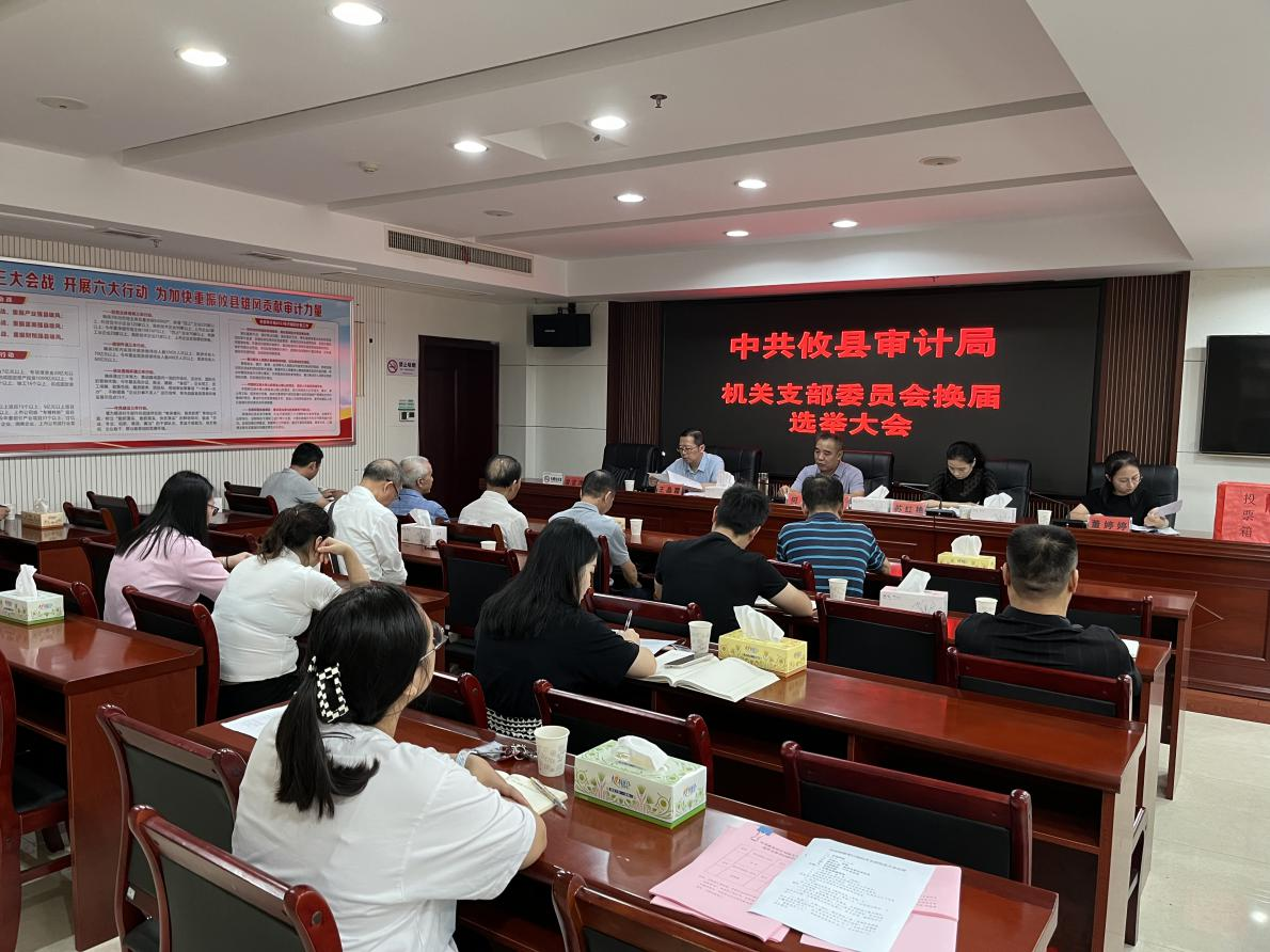 攸县审计局机关党支部召开换届选举党员大会