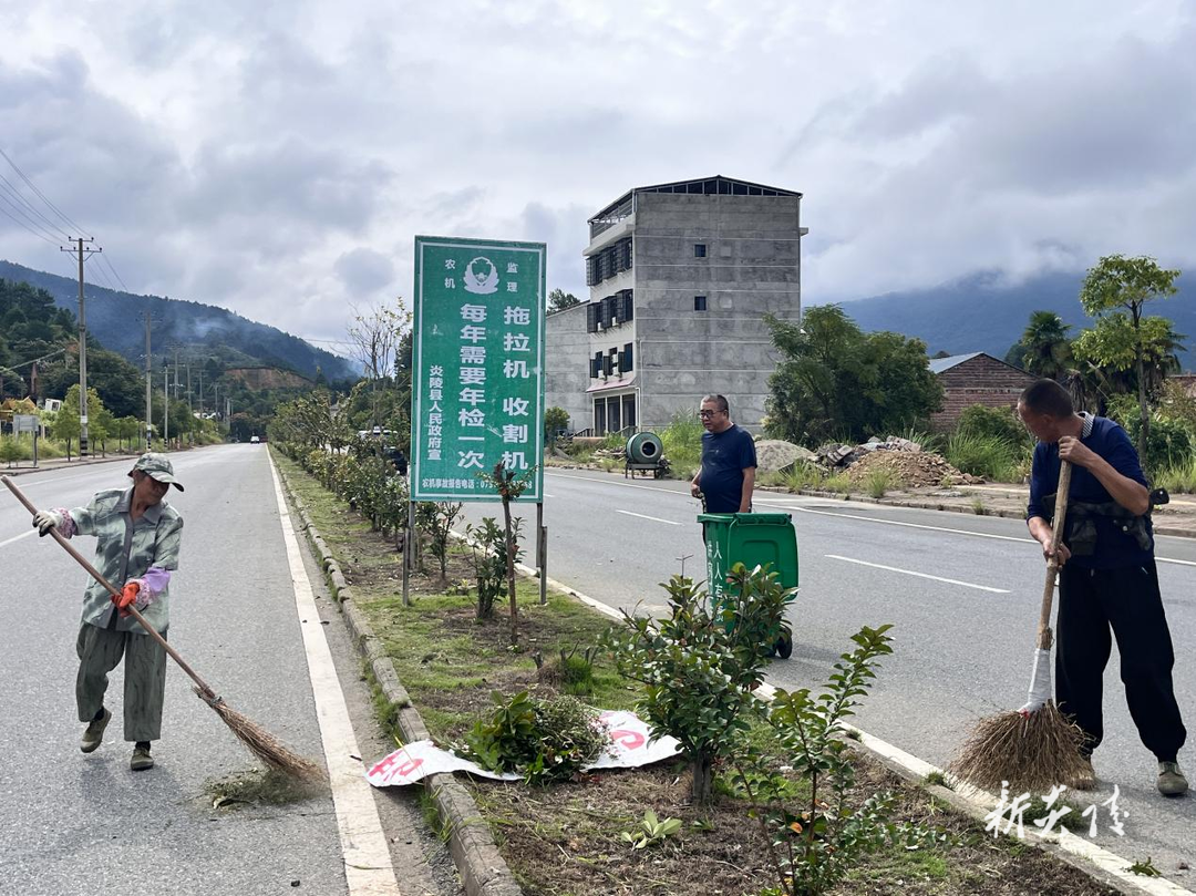 霞阳镇：持续开展人居环境整治 提升乡村新颜值