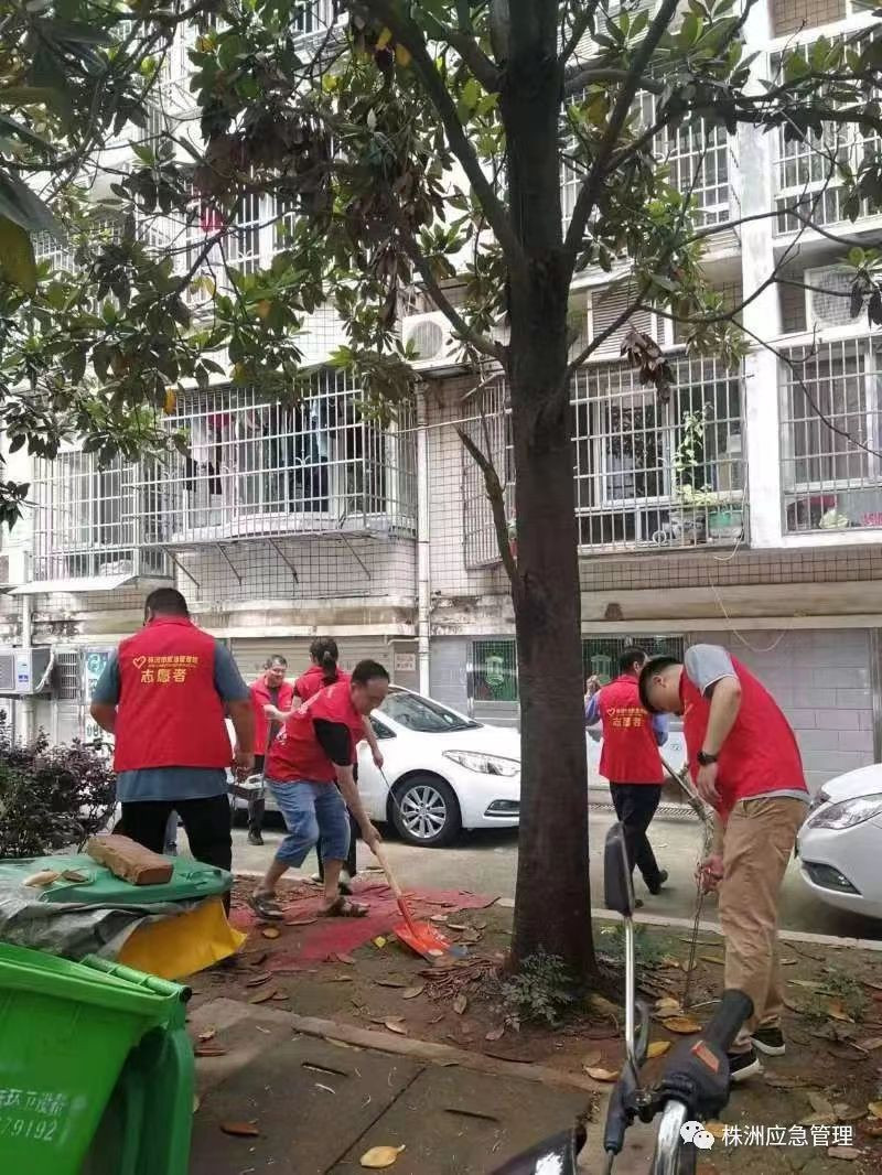 市应急管理局党员干部深入莲花社区开展党建系列活动