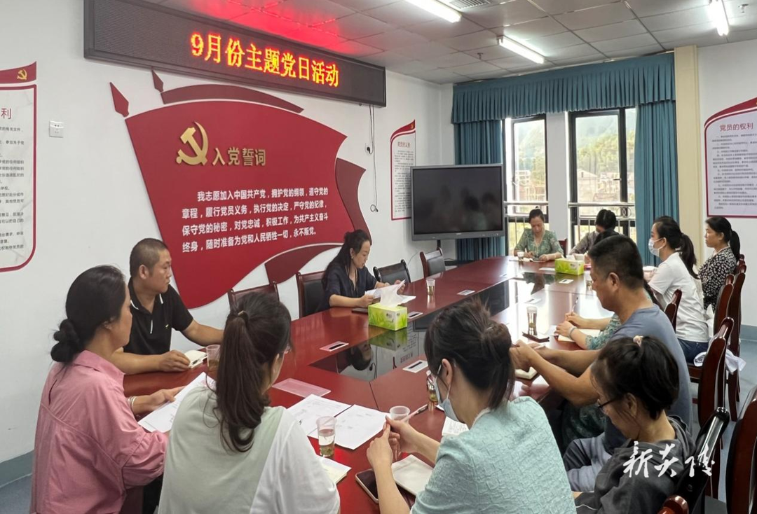 县妇幼组织开展“以学铸魂守初心 砥砺奋进担使命”主题党日活动