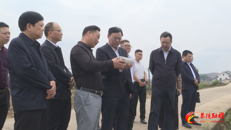 省高速公路集团到思聪街道调研乡村振兴工作