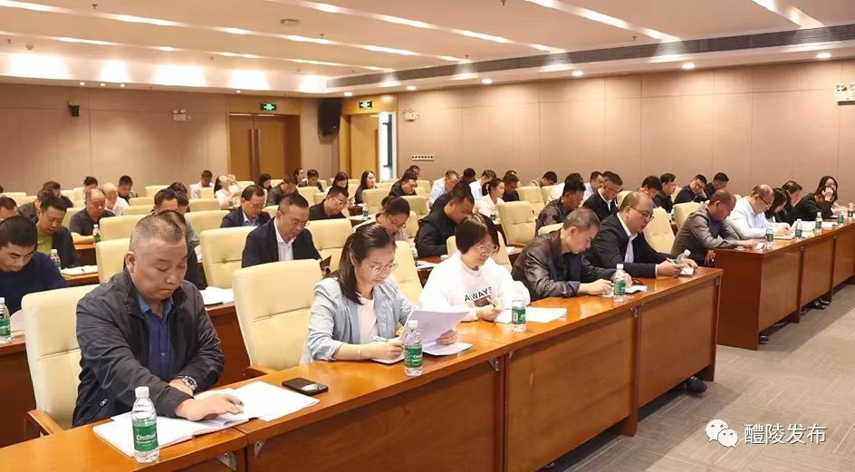 “搞好大执法，真正做到打疼打怕！”