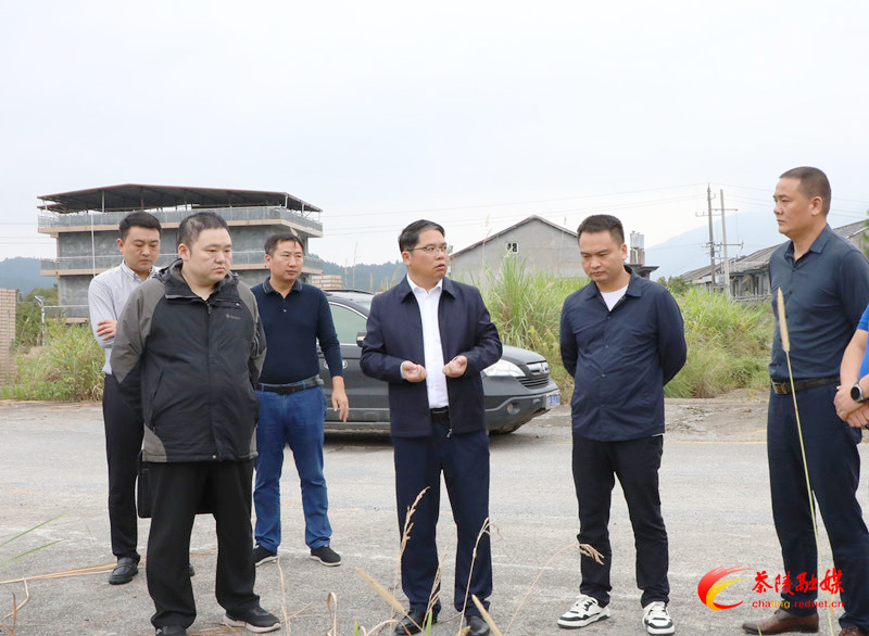 邓元连调度违法用地整改工作
