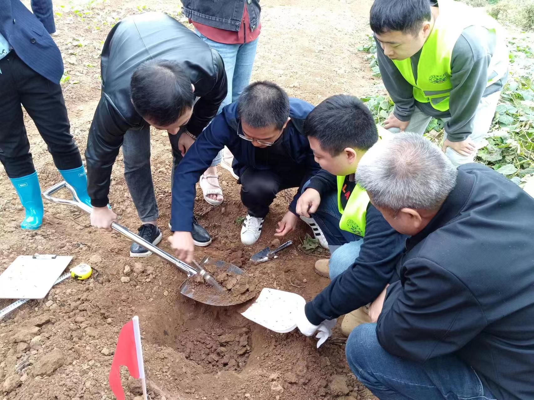 挖出"第一铲土"！芦淞区第三次全国土壤普查外业调查采样在华兴村完成首采