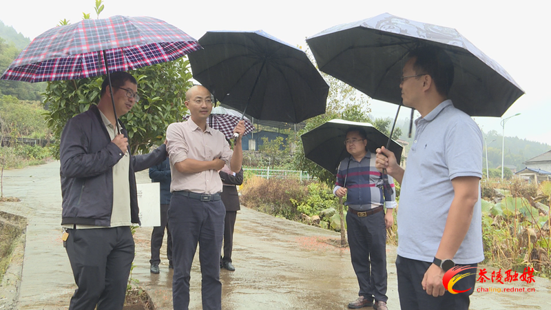 株洲市乡村振兴科技专家团巡回指导活动走进茶陵