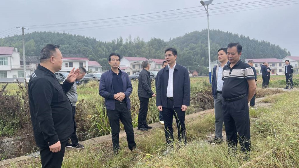 武挪强深入酒埠江镇调研乡村振兴及开展巡田工作