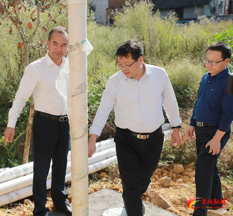 杨红兵深入湖口镇调研乡村振兴、“五经普”等工作