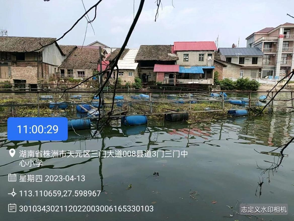 天元区:全面清理约1140平方米水域废弃网箱